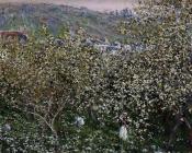 Vetheuil, Flowering Plum Trees